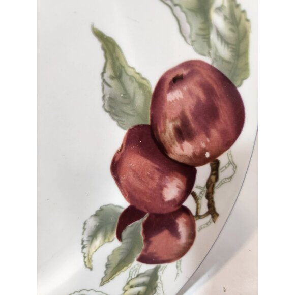 Todays Home Stoneware Fruit Dinner Plates 10.5" Set of 4 Red Green Yellow Purple - Picture 7 of 8